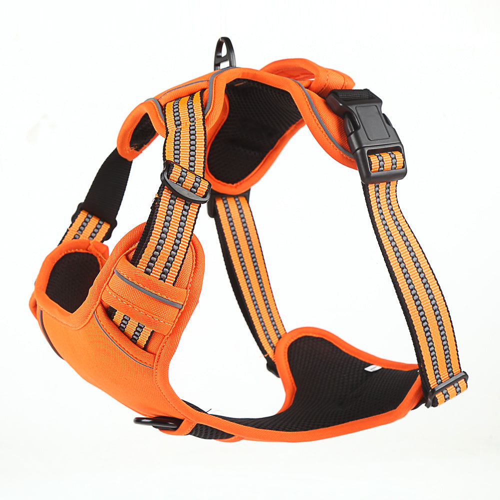 Orange Hundsele