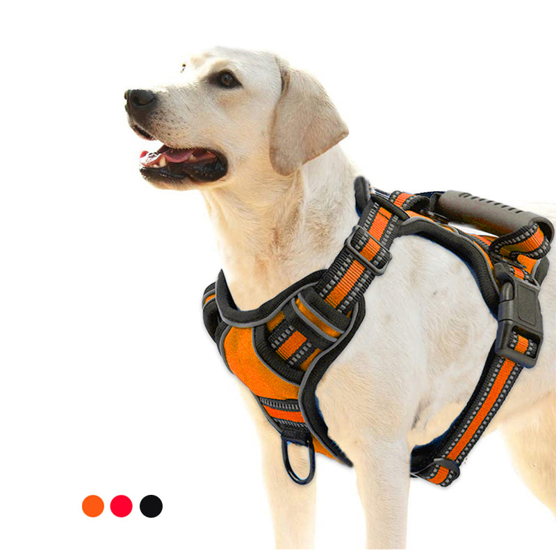 Hundsele Orange svart