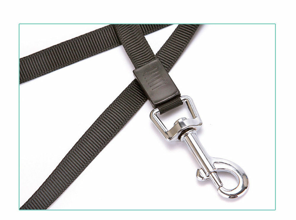 Närbild på  flexibelt koppel för husdjur