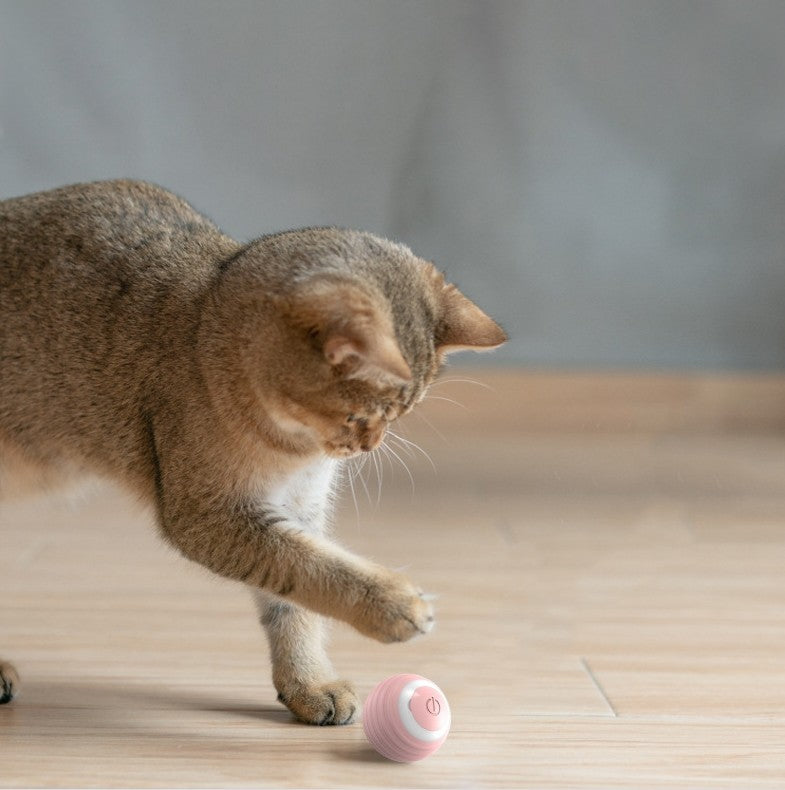 Automatisk Rullande Leksaks Boll för husdjur katt som leker med den 
