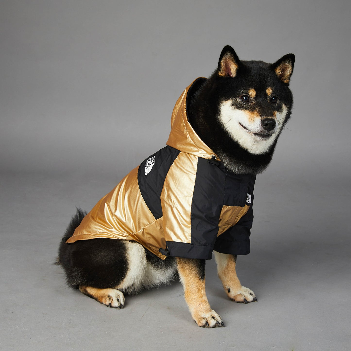 Guld och svart färjad the dog fans jacka med huva för hundar