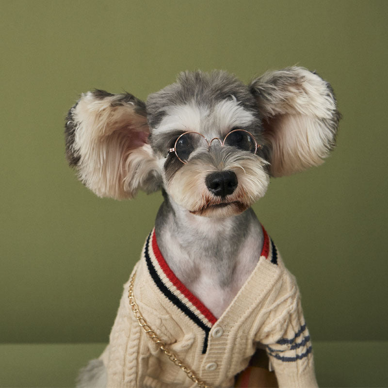 Hund cardigan ull, vit 