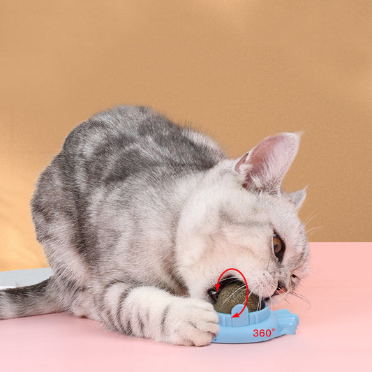 Kattmyntaboll som man kan sätta fast 