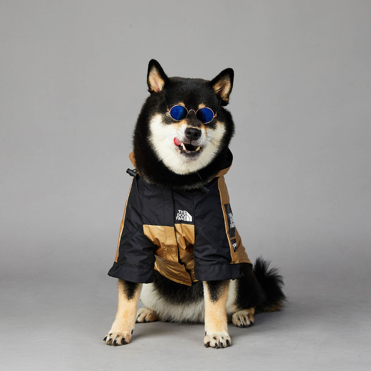 Guld och svart färjad the dog fans jacka med huva för hundar